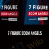 7 Figure Ecom Angels