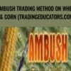 Ambush Trading Method on Wheat Corn » Courses[GB]
