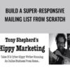Build A Super Responsive Mailing List From Scratch » Courses[GB]