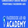 Consistently Create Wildly Profitable Facebook Ads » Courses[GB]