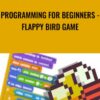 Programming for Beginners - Flappy Bird Game - Craig Blewett