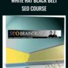 Dan Thies and Leslie Rohde White Hat Black Belt SEO Course » Courses[GB]