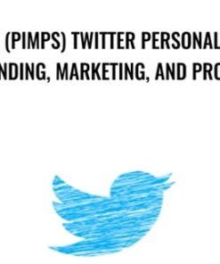 (PIMPS) Twitter Personal Branding, Marketing, and Profits - Ed Latimore