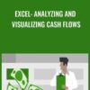 Excel: Analyzing and Visualizing Cash Flows - Curt Frye