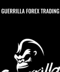 Guerrilla Forex Trading - Joshua Bunker
