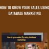 How To Grow Your Sales Using Database Marketing - Dan Faggella