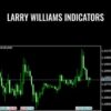 Larry Williams E28093 Larry Williams Indicators » Courses[GB]