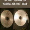 The Furey Formula for Making A Fortune – Email - Matt Furey
