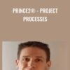 PRINCE2® - Project Processes - Tommy van Schaik