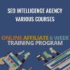SEO Intelligence Agency E28093 Various Courses Jeff Lenney » Courses[GB]