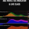 Simpler Options E28093 ABC Waves TOS Indicator Live Class » Courses[GB]