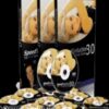 Speed Seduction 3 0 E28093 Getting Up To Speed E28093 Module 4 » Courses[GB]