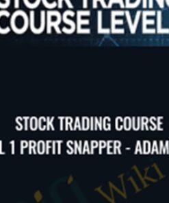Stock Trading Course Level 1 Profit Snapper Adam Khoo 1 » Courses[GB]