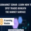 SubMarket Sonar: Learn How to Spot Trades Beneath the Market Surface - Raghee