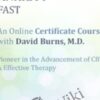 Treat Anxiety Fast Certificate Course with Dr David Burns » Courses[GB]