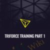 Triforce Training Part 1 » Courses[GB]