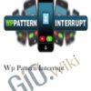 WP Pattern Interrupt - danlew, Zbigniew Klej