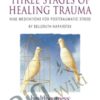 Belleruth Naparstek Three Stages of Healing Trauma » Courses[GB]