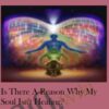 Is there a reason why my soul isnt healing » Courses[GB]