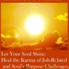 Let Your Soul Shine: Heal the Karma of Job-Related and Soul’s Purpose Challenges, Reveal Your Inner Radiance, and Bring Quicker Relief for Health Concerns (Originally Recorded April 2020)