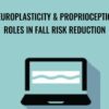 Neuroplasticity Proprioception Roles in Fall Risk Reduction Michel Shelly Denes » Courses[GB]
