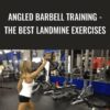 Nick Tumminello Angled Barbell Training The BEST Landmine Exercises » Courses[GB]