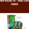 Now Healing 101 E28093 Home Study Course » Courses[GB]
