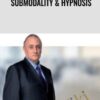 Richard Bandler Submodalities and Hypnosis » Courses[GB]