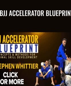 BJJ Accelerator Blueprint - Stephen Whittier