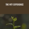 The WTF Experience Amir Zoghi » Courses[GB]