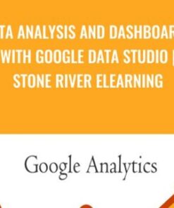 Data Analysis And Dashboards With Google Data Studio - Stone River ELearning