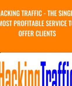 Hacking Traffic - The Single Most Profitable Service To Offer Clients