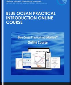 Blue Ocean Practical Introduction Online Course - BlueOceanStrategy