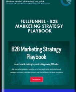 FullFunnel -B2B Marketing Strategy Playbook - Andrei Zinkevich
