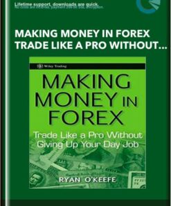 Making Money In Forex Trade Like A Pro Without Giving Up Your Day Job - Ryan Okeefe