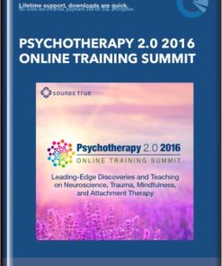 Psychotherapy 2.0 2016 Online Training Summit - Diane Poole Heller