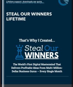 Steal Our Winners Lifetime - Rick Schefren