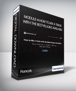 Francois - Module 4: How to Mix a Track with the Best Plugins Available
