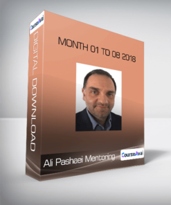 Ali Pashaei Mentoring - Month 01 to 08 2018