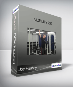 Joe Hashey - Mobility 2.0