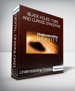 Black Holes