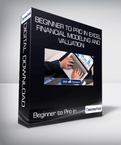 Beginner to Pro in Excel Financial Modeling and Valuation