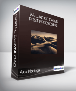Alex Noriega - Ballad of Gales: Post Processing