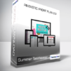 Summer Tannhauser - Pintastic Profit Plan 2.0