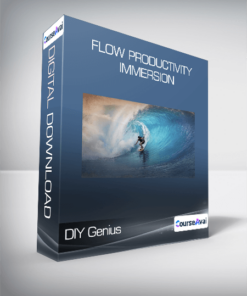 DIY Genius - Flow Productivity Immersion