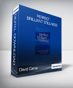 David Carse - Perfect Brilliant Stillness