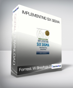 Forrest W Breyfogle III - Implementing Six Sigma