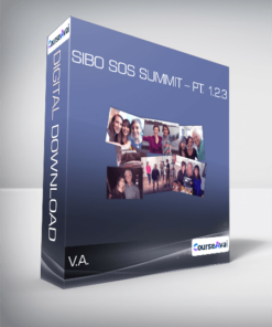 V.A. - SIBO SOS Summit - Pt. 1.2.3