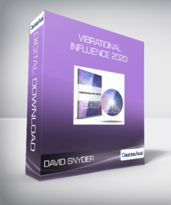David Snyder - Vibrational Influence 2020