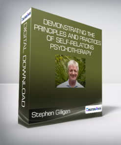 Stephen Gilligan - Demonstrating the Principles and Practices of Self-Relations Psychotherapy